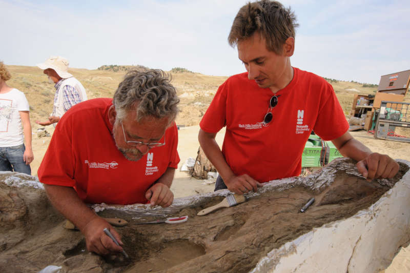 Foto: Servaas Neijens - Pete Larson en Anne Schulp bezig met een T.rex schedel